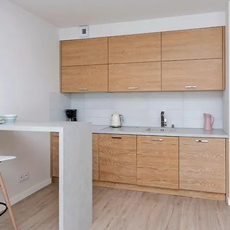 Center - Riverside By Apartmore גדנסק